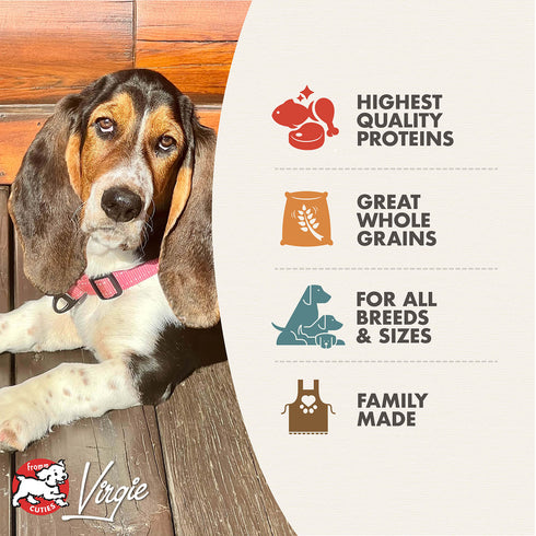 Fromm Gold Dry Dog Food - Chicken - 5lb Bag